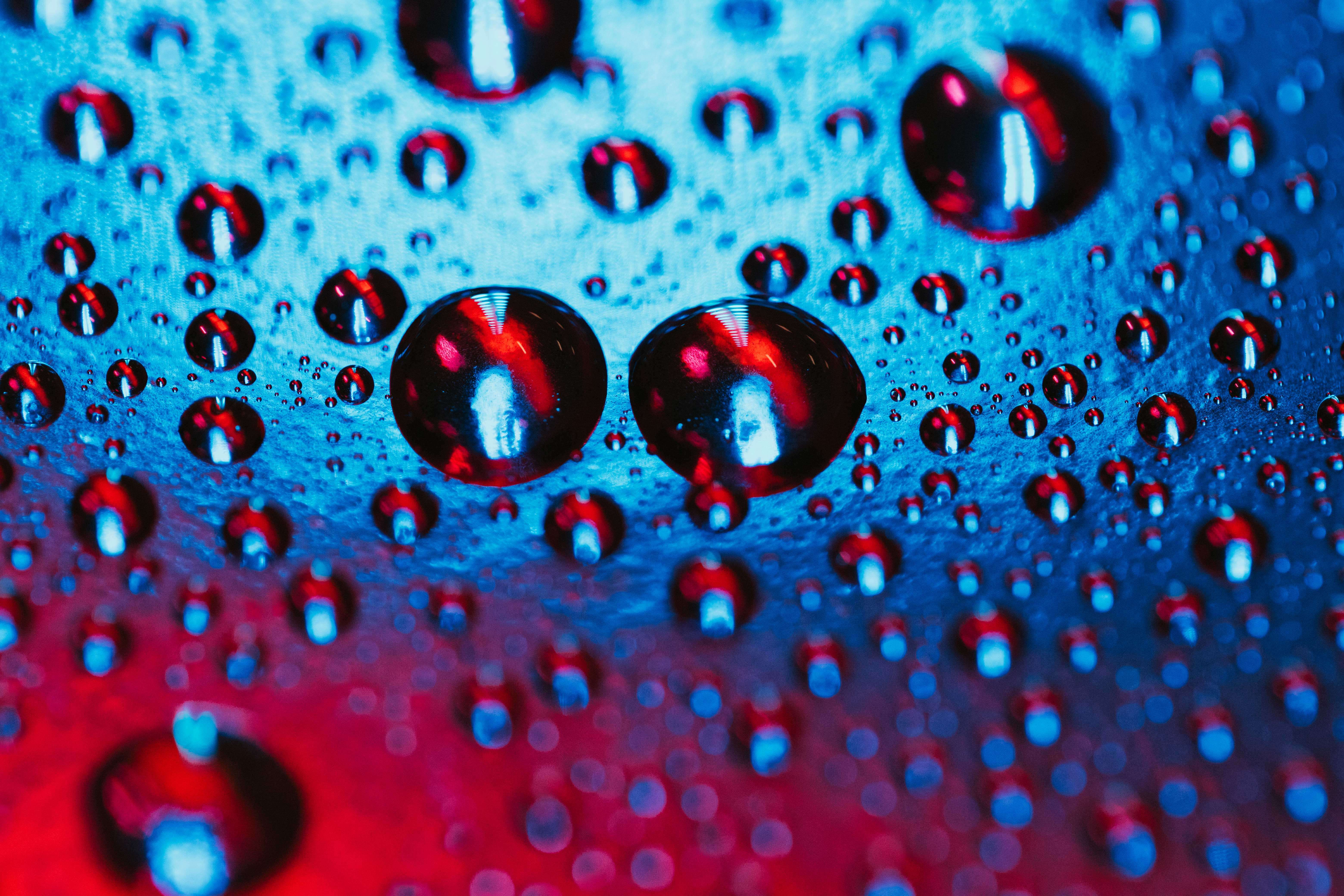 ACQUA